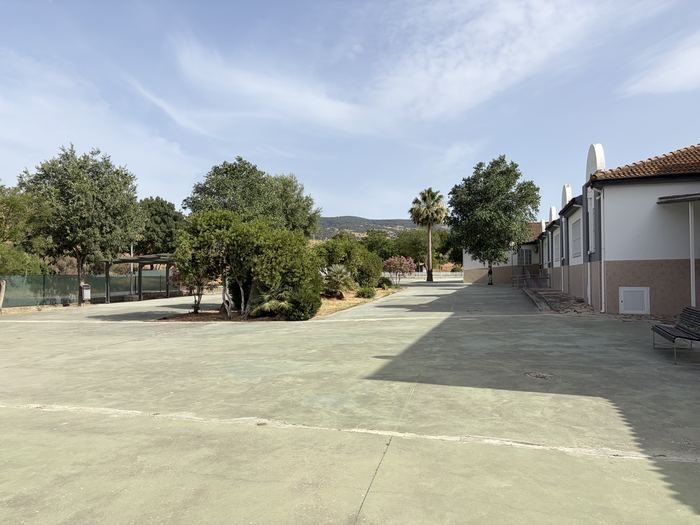 Patio con zona de paso, árboles y edificio a la derecha